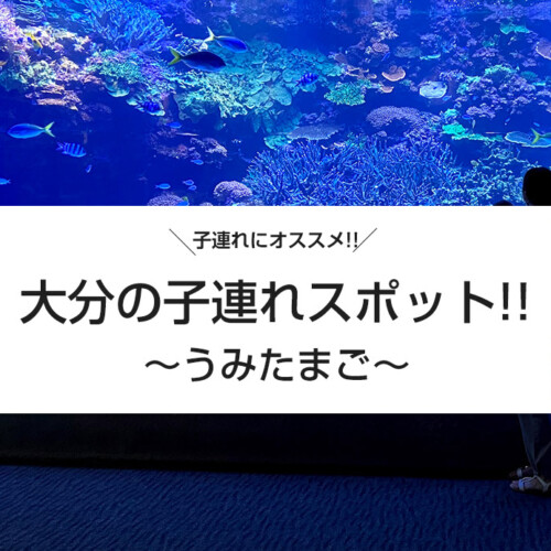 子連れにオススメ！うみたまご