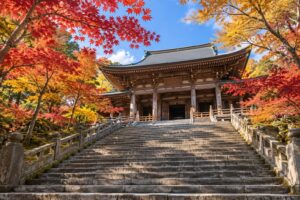 紅葉に囲まれたお寺の本堂へ続く石段（イメージ）